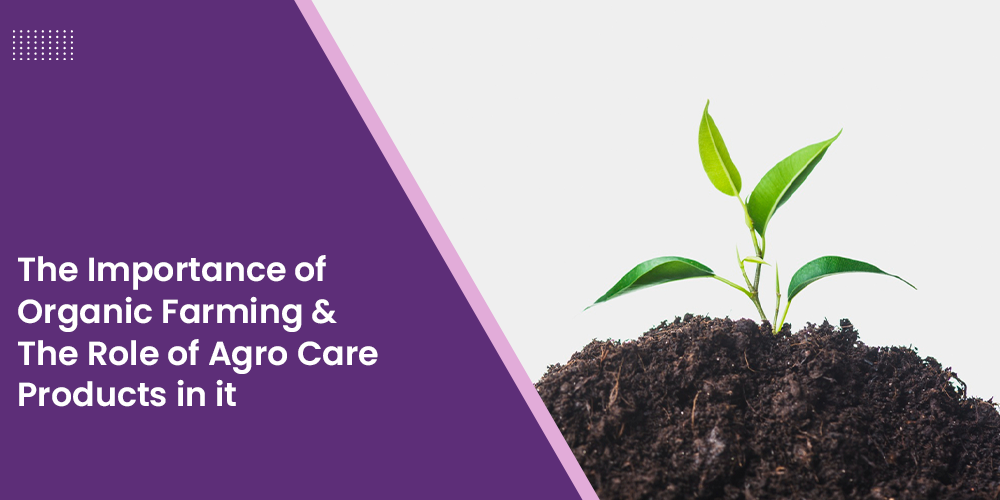 The Importance of Organic Farming & The Role of Agro Care Products in it 